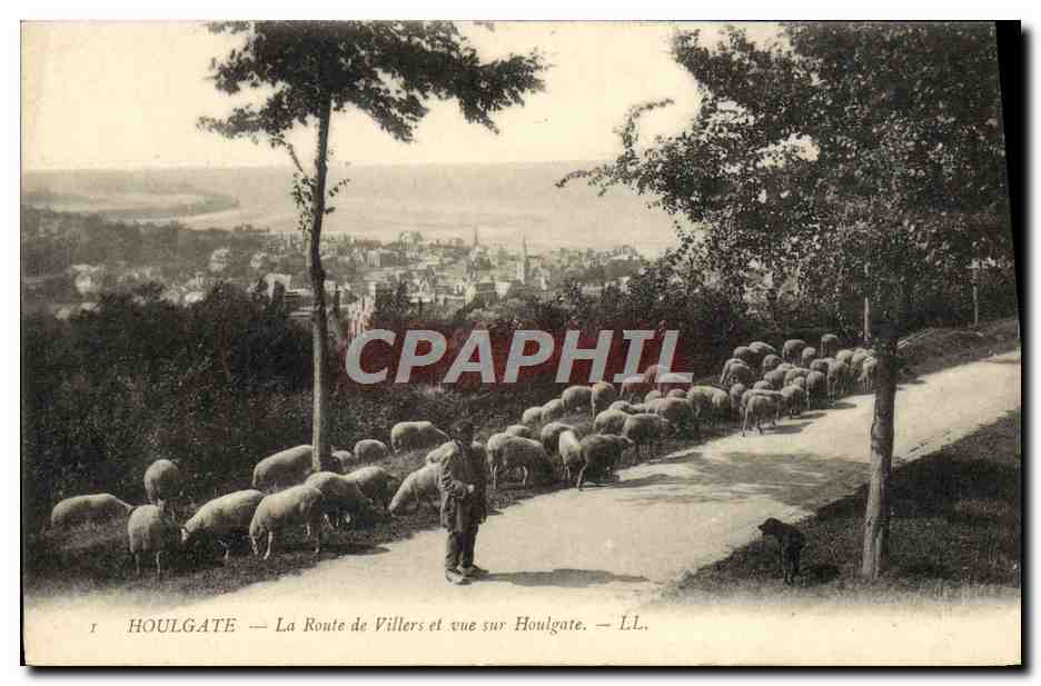CPA Houlgate La Route de Villers et Vue sur Houlgate Berger et moutons