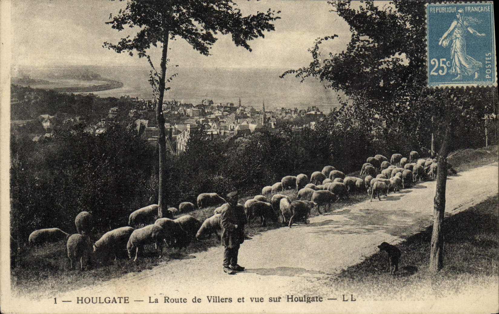 Houlgate — La Route de Villiers et vue sur Houlgate — LL