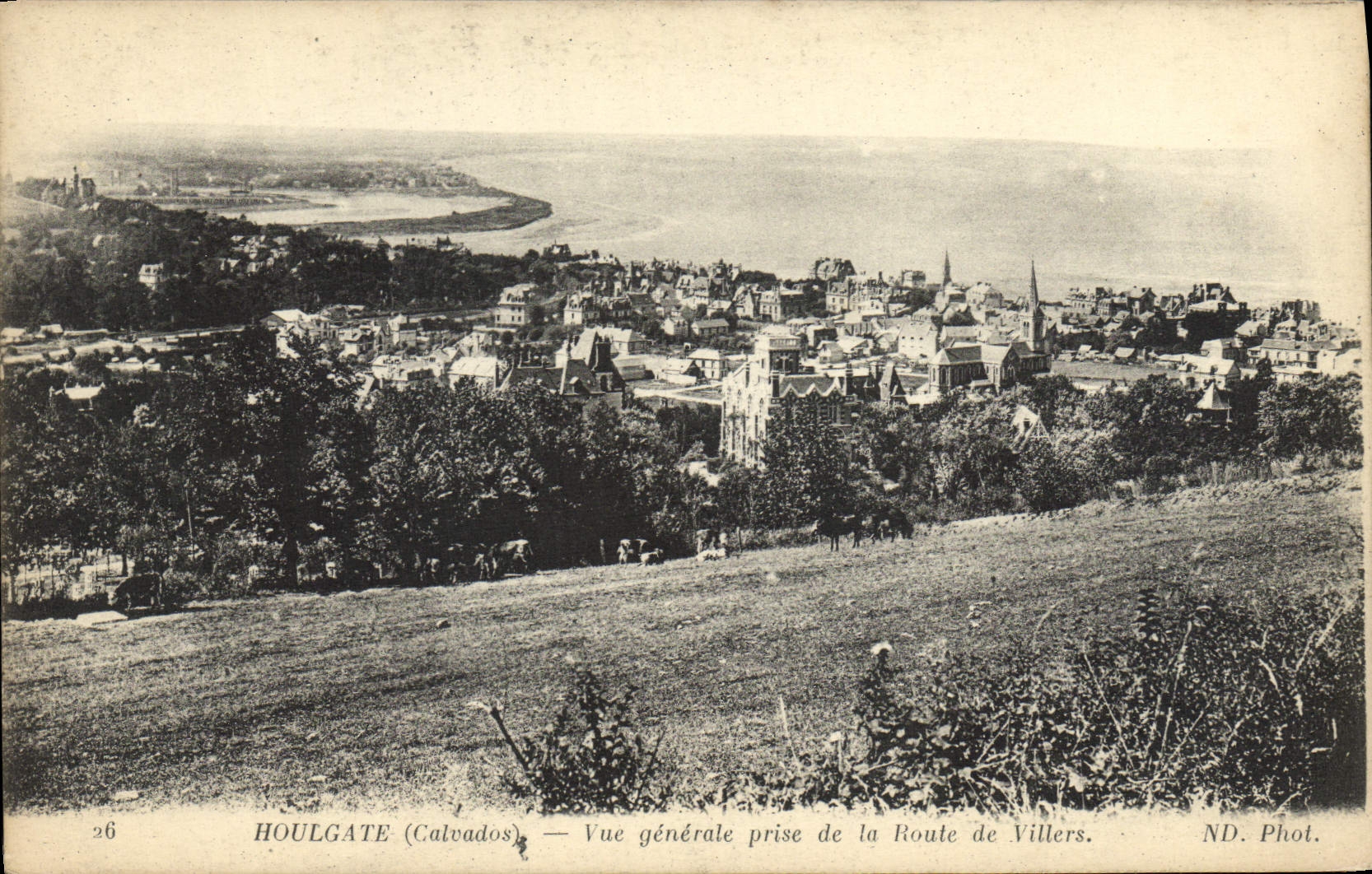 CPA Houlgate Vue Generale prise de la Route de Villers 