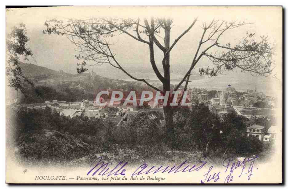CPA Houlgate Panorama Vue prise du Bois de Boulogne 