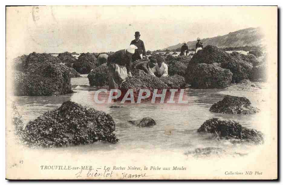 CPA Trouville Sur mer Les roches noires la peche aux moules