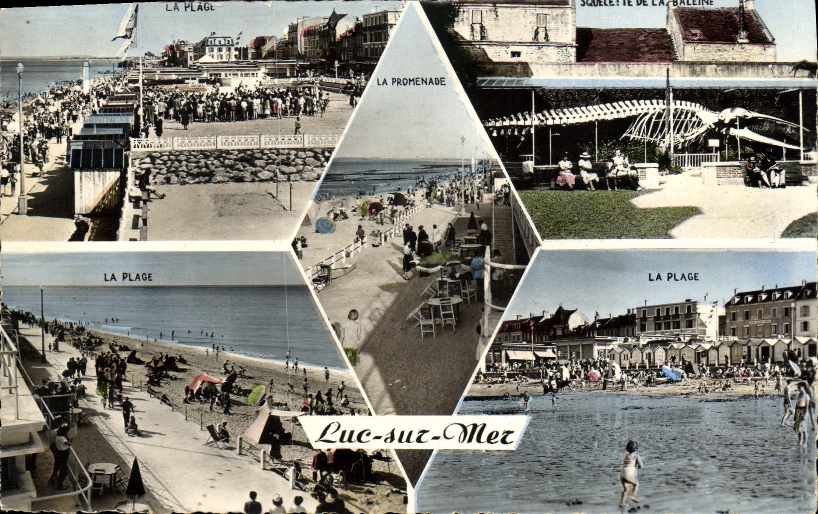 Luc-sur-Mer — Vue panoramique de la plage et de la promenade — Cie des Arts Photomécanique