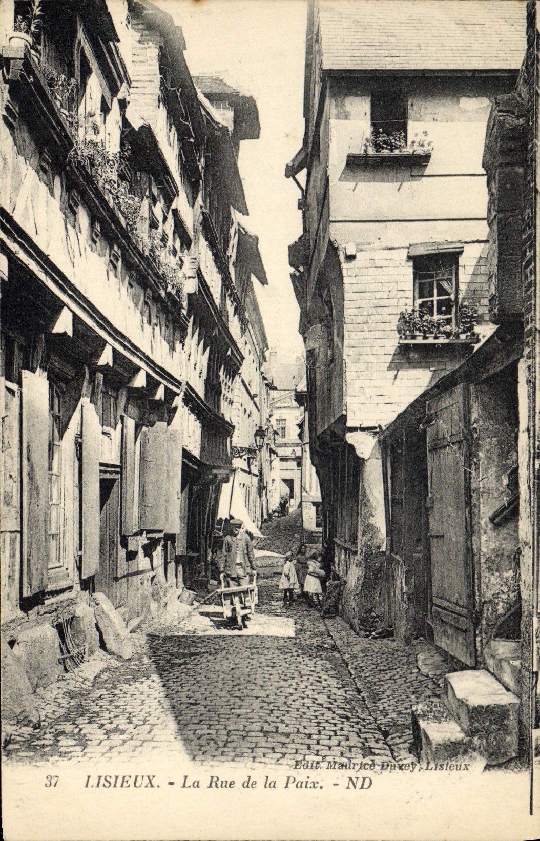Lisieux - La Rue de la Paix — Édit. Maurice Duvey, Lisieux, n°37