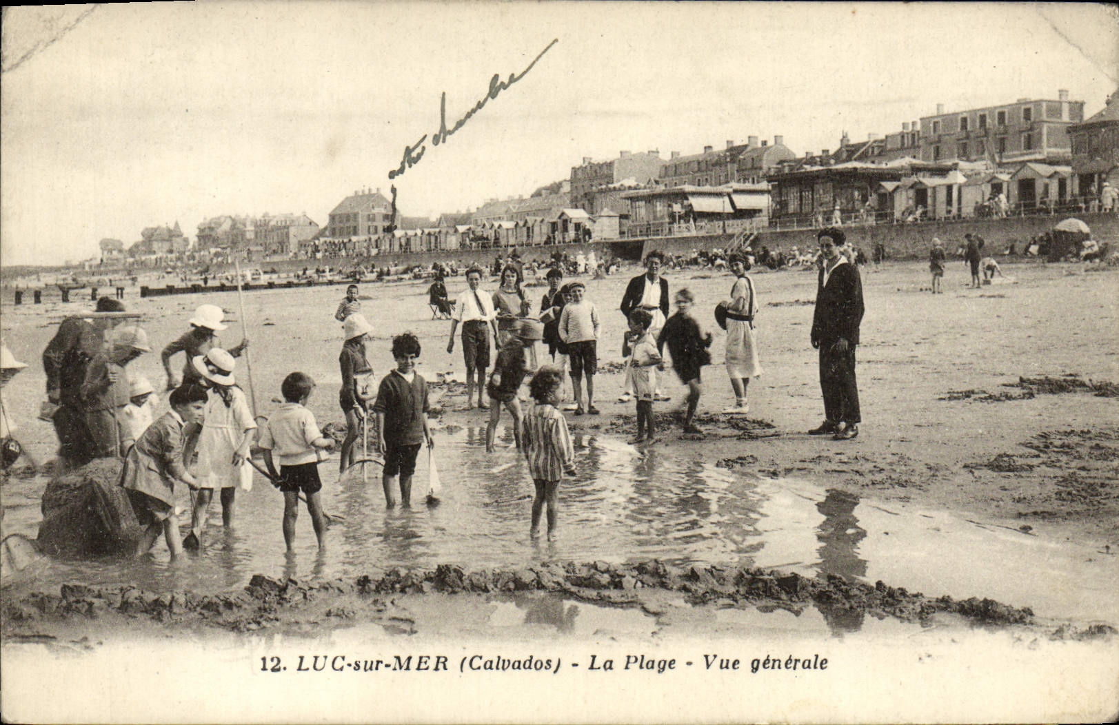 CPA Luc Sur mer la plage vue generale