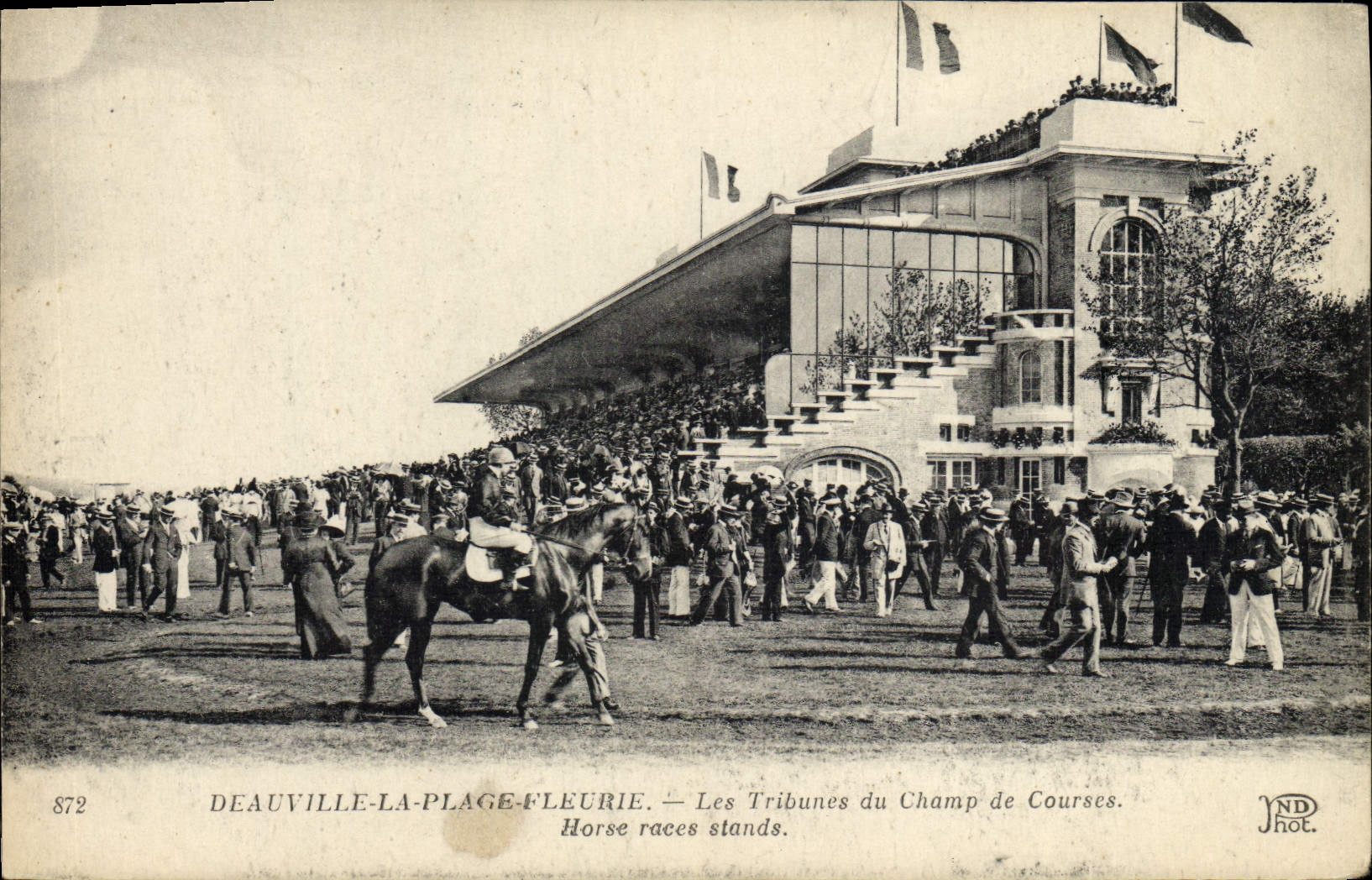 CPA Deauville La plage fleurie Les tribunes du champ de courses Chevaux Hippisme