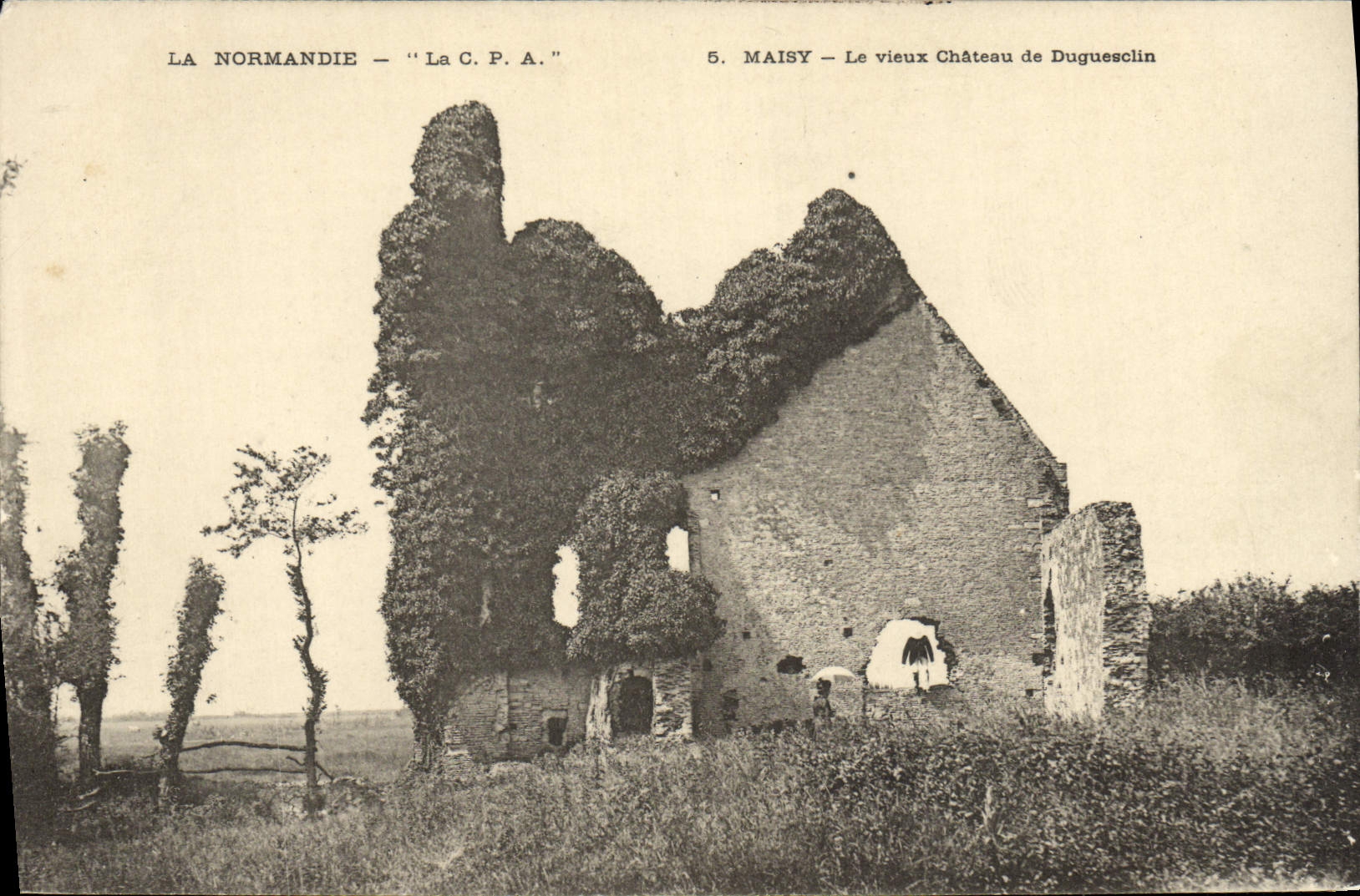 Maisy — Le vieux Château de Duguesclin — La C.P.A.