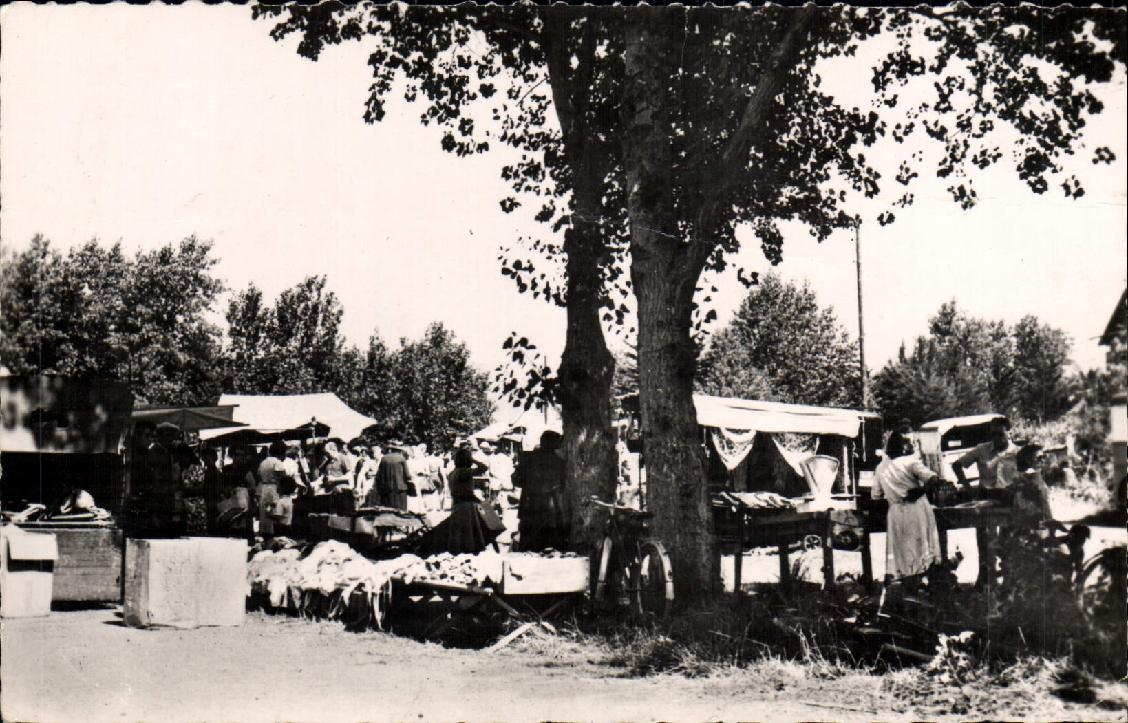 CPM Merville franceville le marche