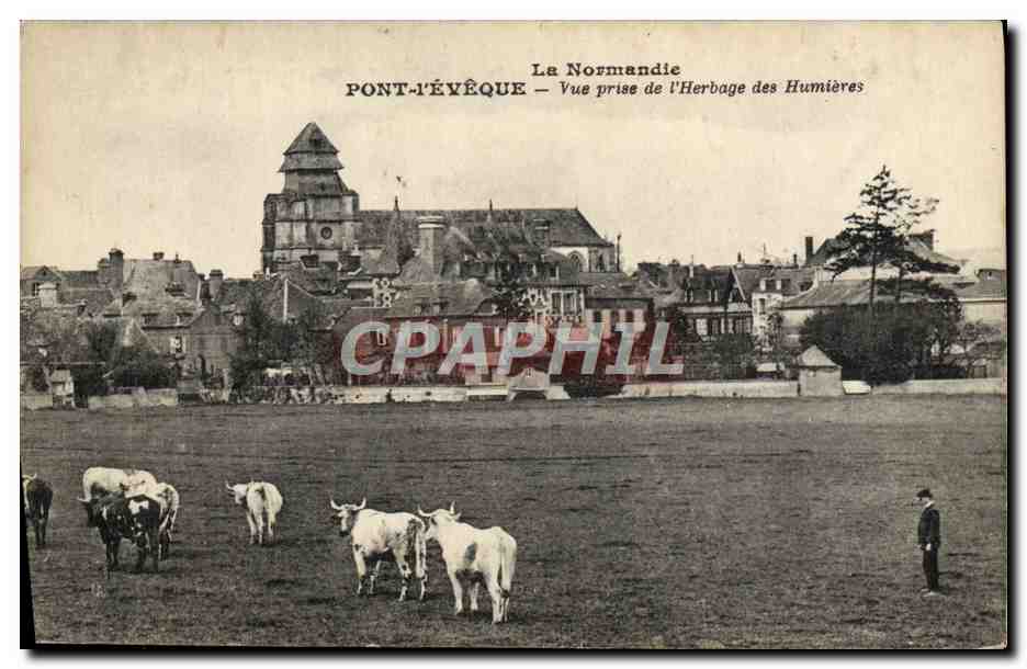 CPA La Normandie Pont L'Eveque vue prise de l'herbage des Hunieres Vaches