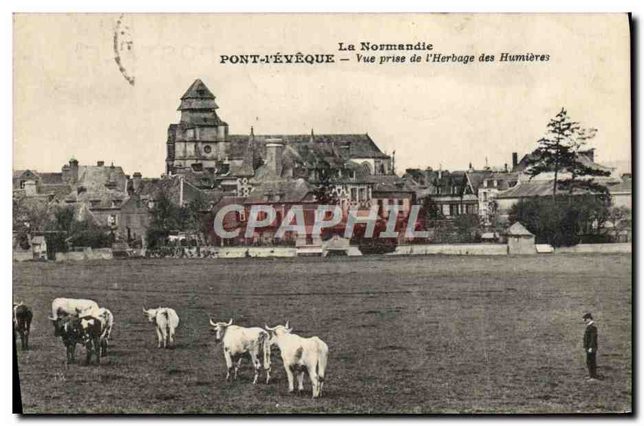 CPA La Normandie Pont L'Eveque vue prise de l'herbage des Hunieres Vaches