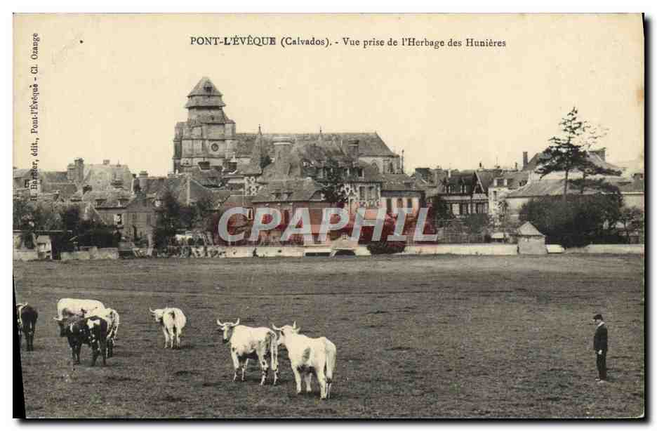 CPA Pont L'Eveque vue prise de l'herbage des hunieres Vaches