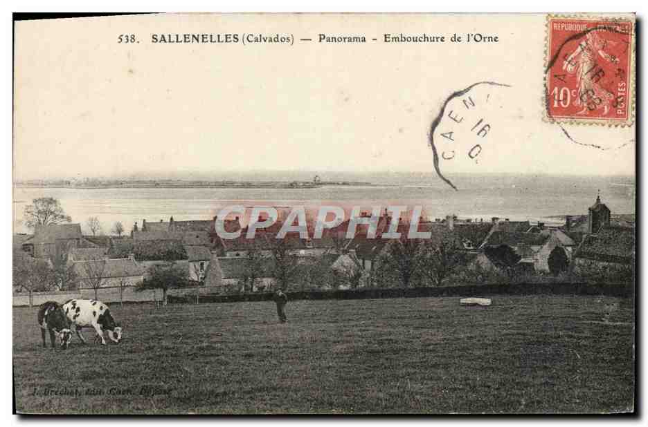CPA Sallenelles Panorama Embouchure de l'Orne Vache