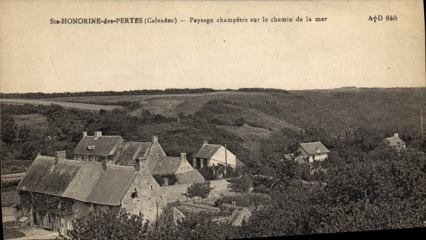 Ste-HONORINE-des-PERTES (Calvados) — Paysage champêtre sur le chemin de la mer — A+D 840