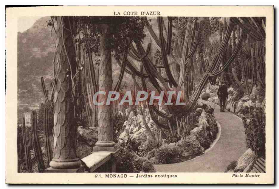 CPA Monaco Jardins Exotiques
