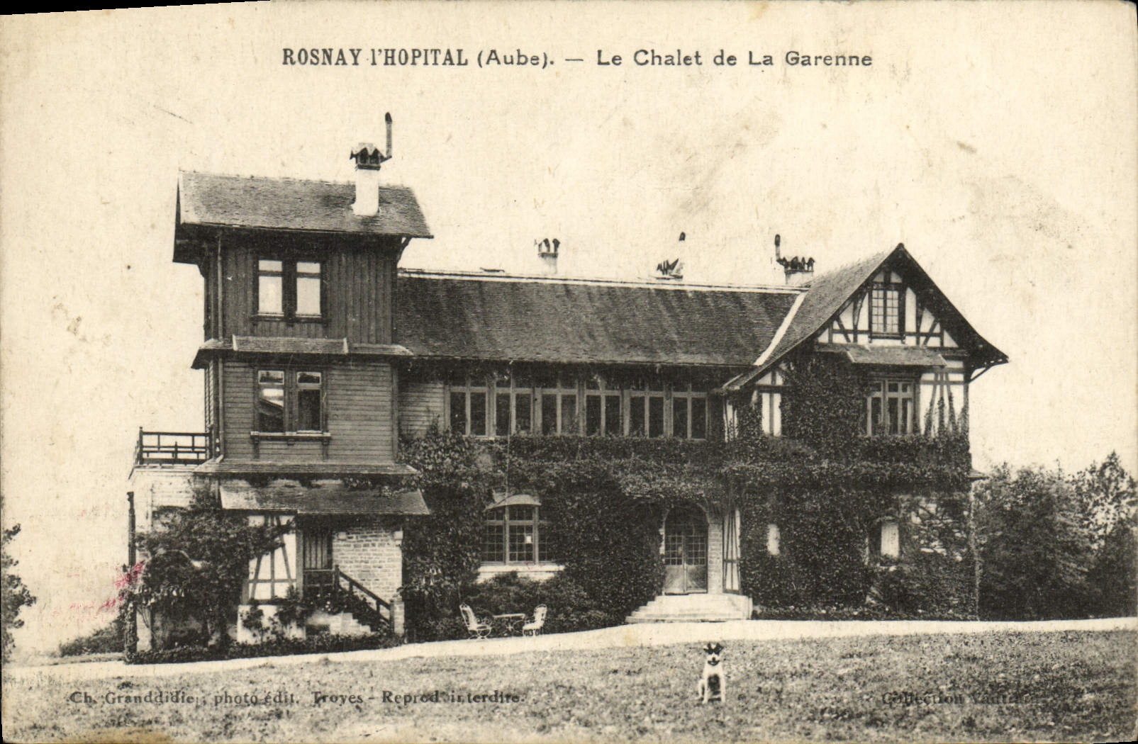 CPA Rosnay l'Hopital Le Chalet de la Garenne 