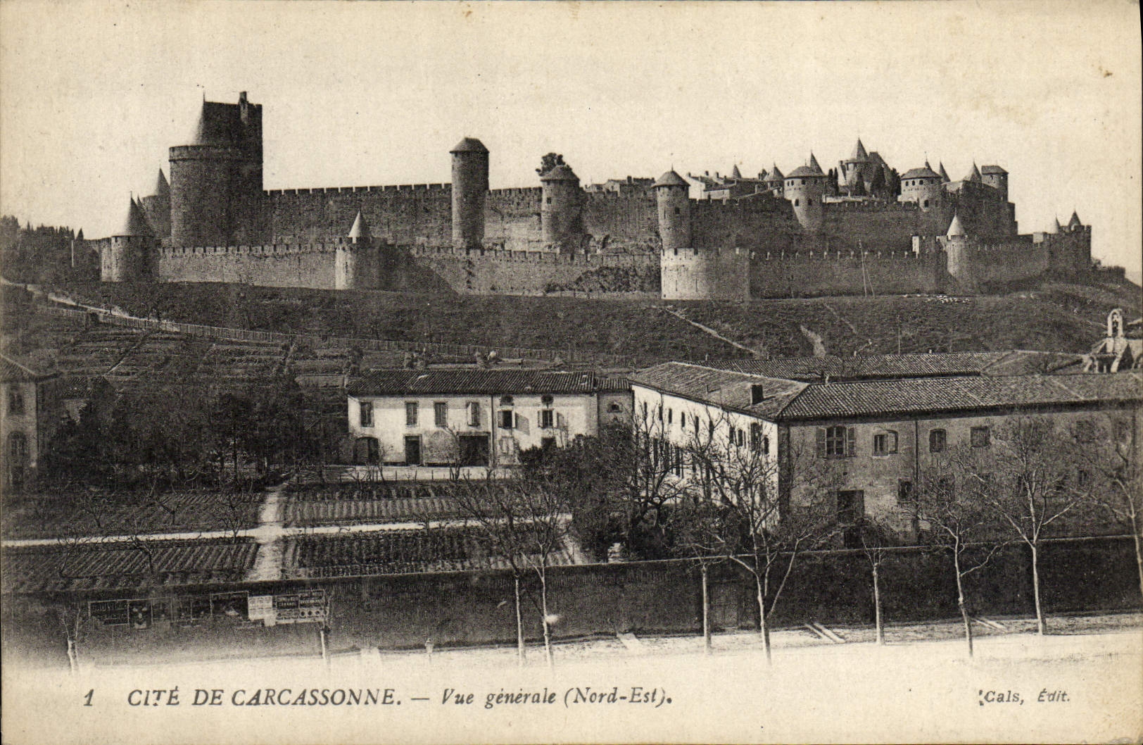 CPA Cite De Carcassonne Vue generale