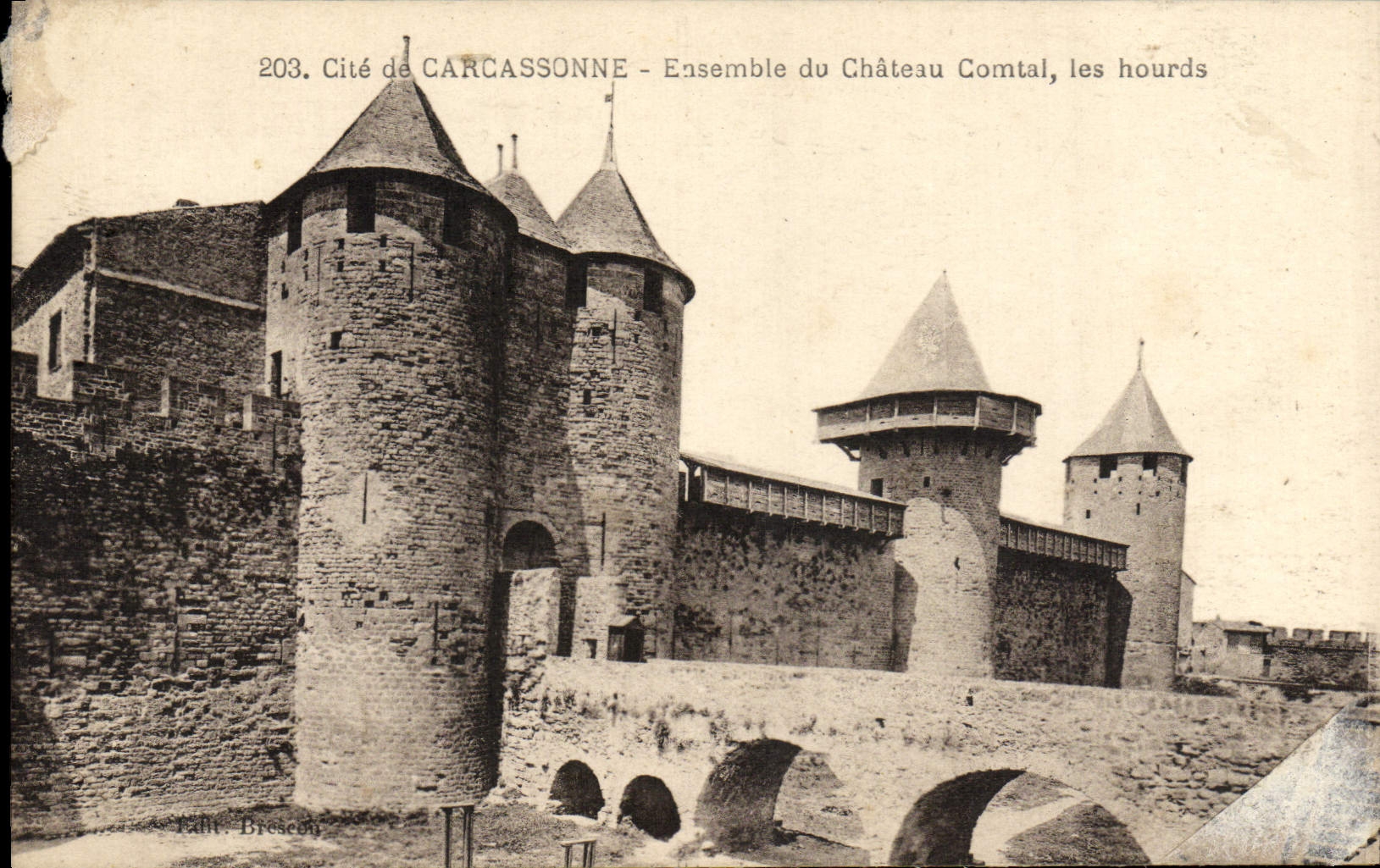 CPA Cite De Carcassonne Ensemble du chateau comtal les hourds