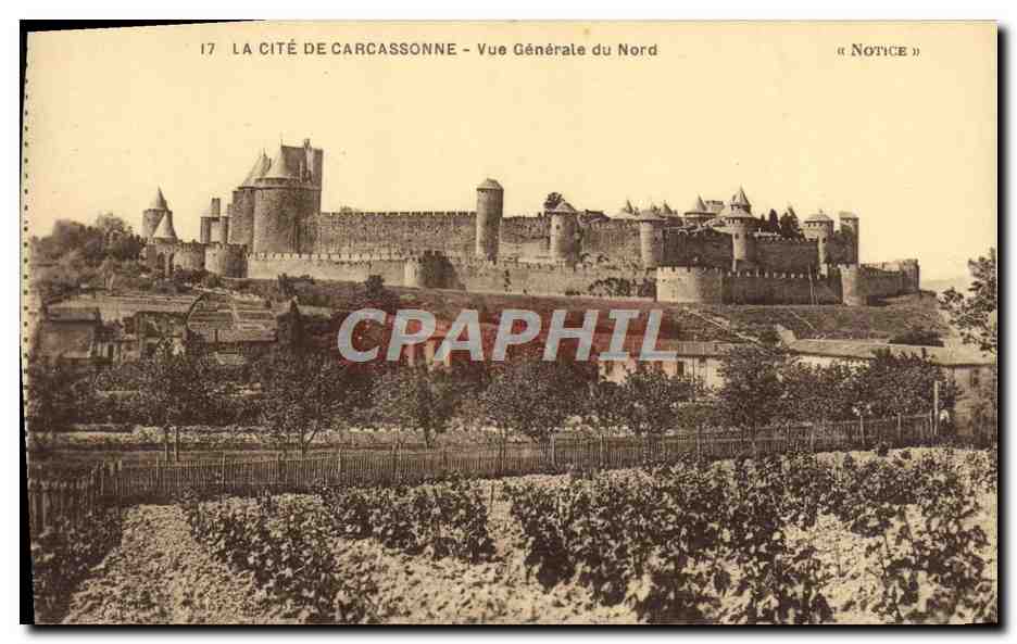 CPA La Cite De Carcassonne vue generale du nord