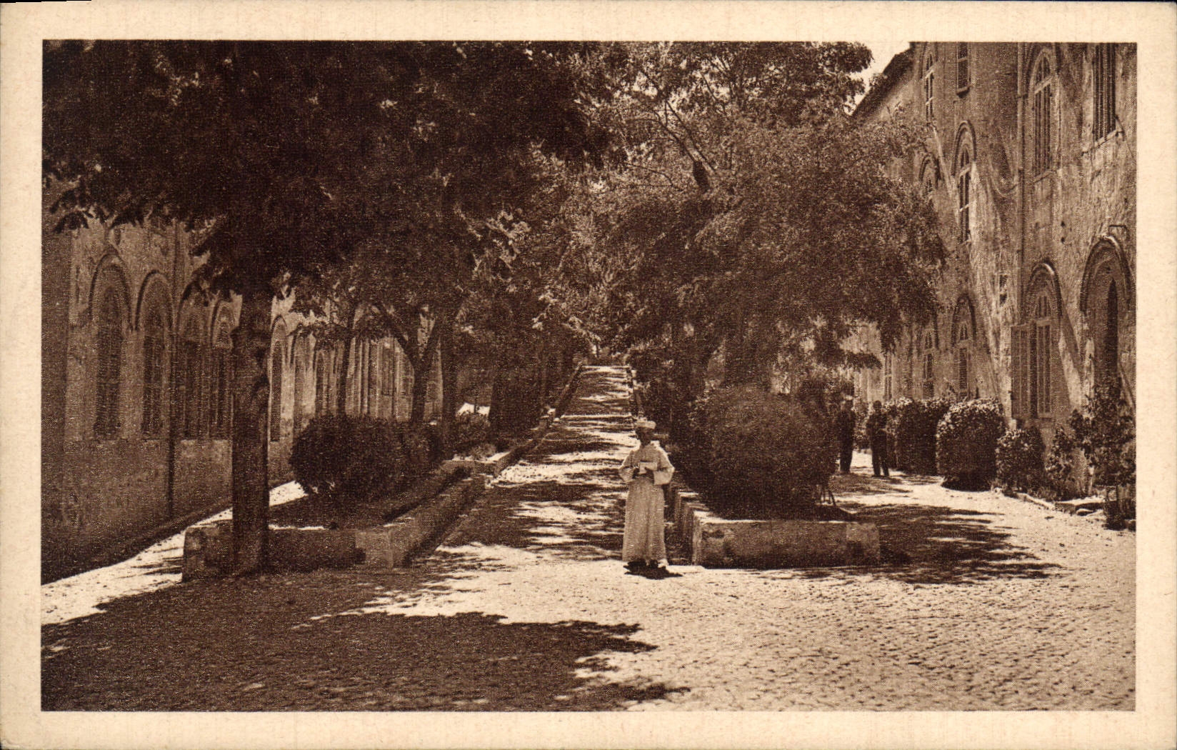 Saint-Michel-de-Frigolet — Les allées de l'Abbaye pleines de lumière et d'ombres — CPAPHIL