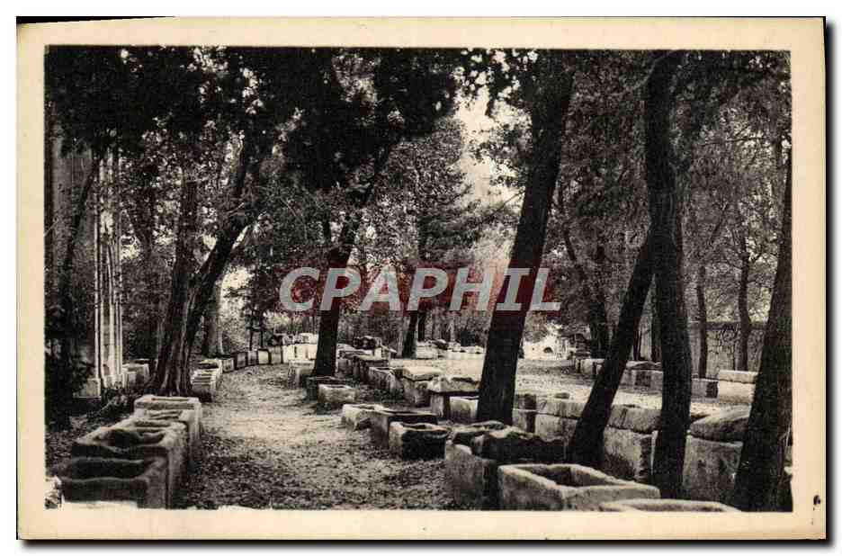 CPA Arles Un Coin Des Alyscamps