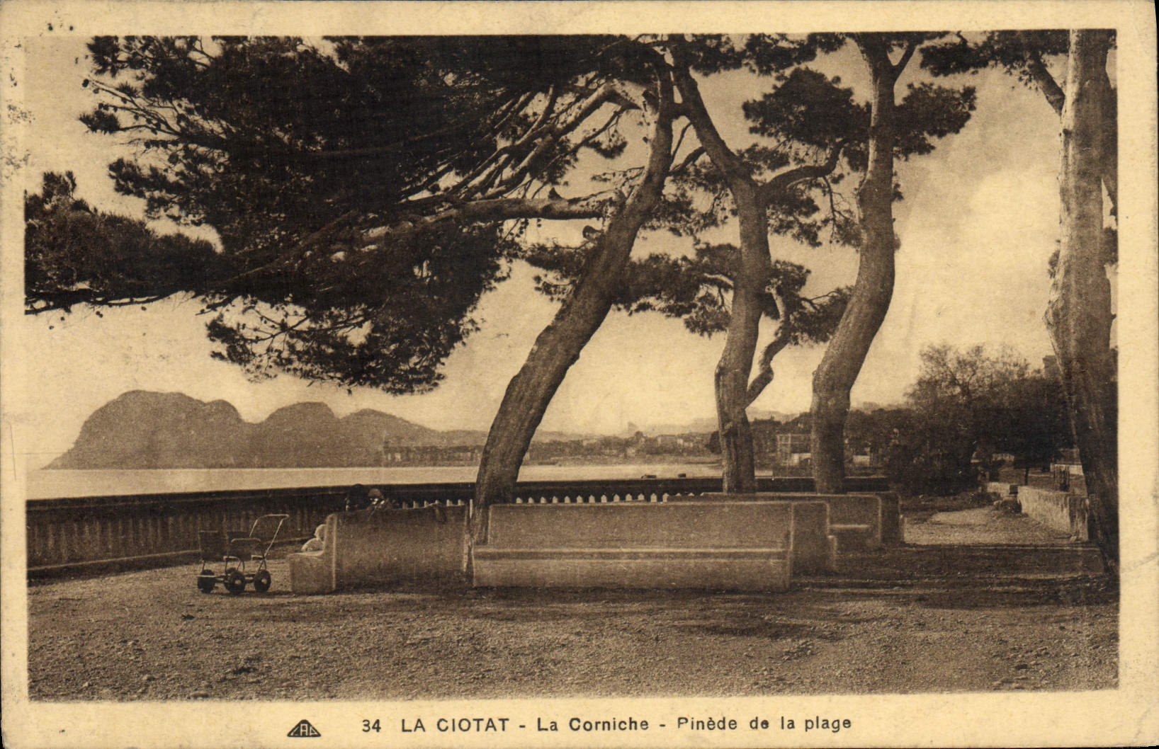 CPA La Ciotat La Corniche Pinede de la plage