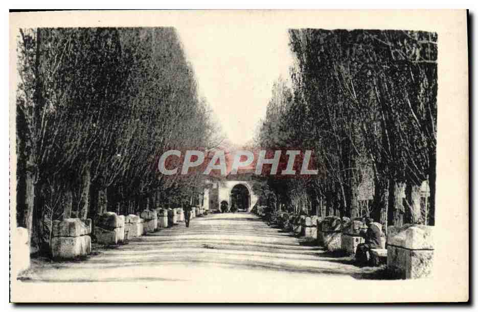 CPA Arles Les alyscamps Allee des tombeaux
