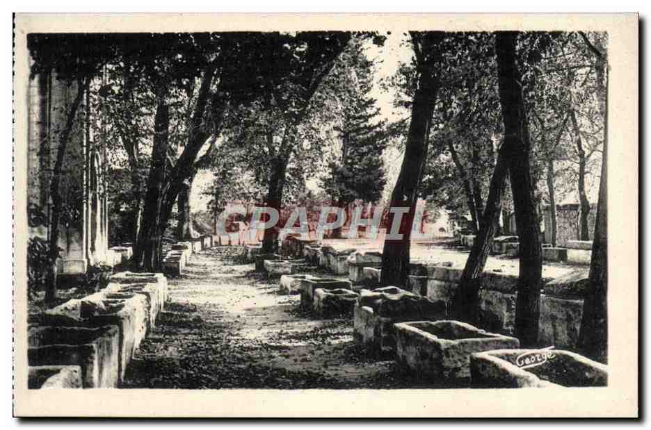 Arles — Un Coin des Alyscamps (Champs-Elysées Romain) — Photo George, Arles, interd.