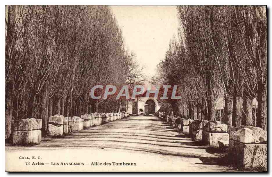 CPA Arles Les Alyscamps Allee des tombeaux
