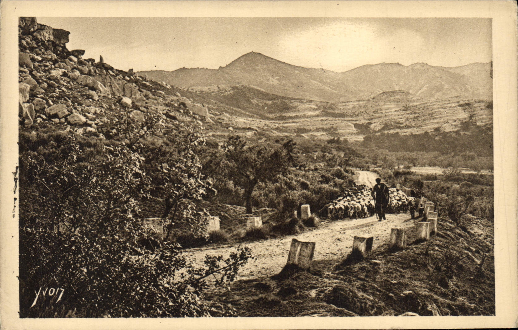 Paysages et Pierres de Provence — Sur la Route de Saint-Rémy aux Baux — Édition Yvon