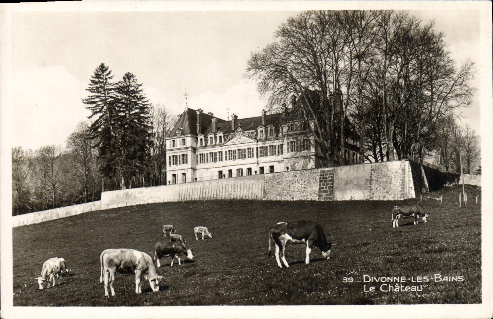 CPA Divonne les Bains Le Chateau