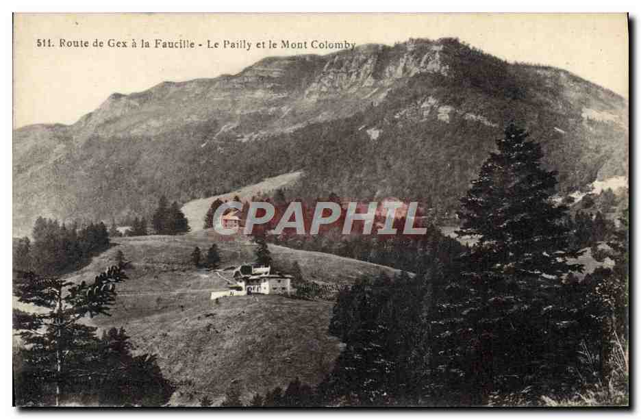 CPA Route de Gex a la Faucille Le Pailly et le Mont Colomby