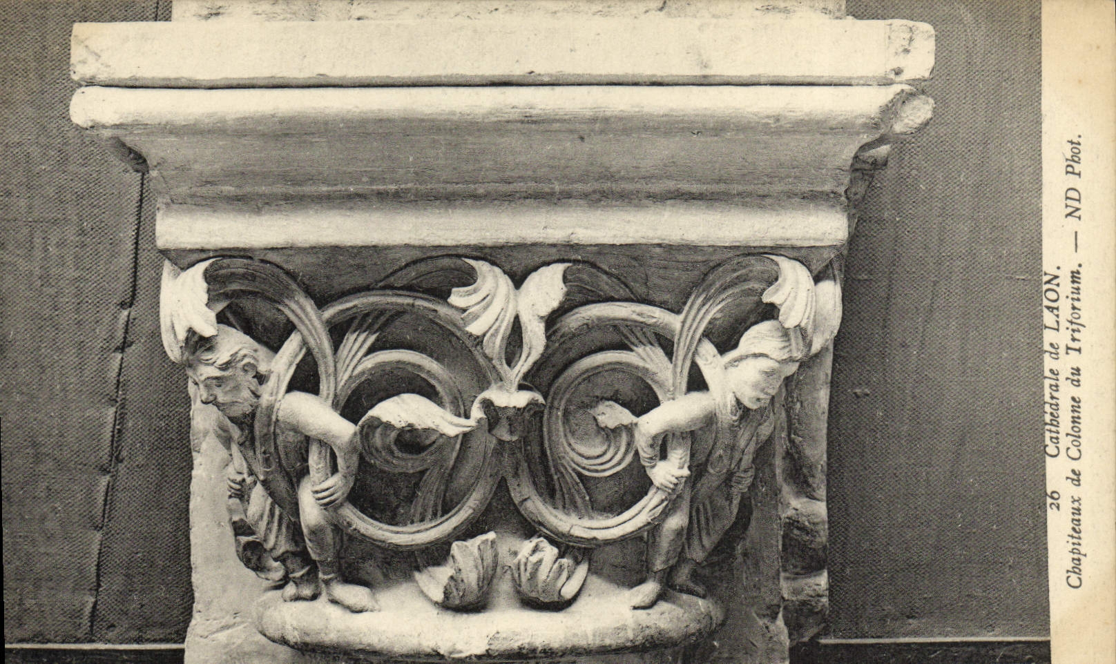 Chapiteaux de Colonne du Triforium — Cathédrale de Laon — ND Piot.
