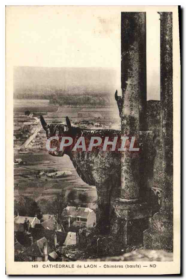 CPA Cathedrale de Laon Chimeres Boeufs