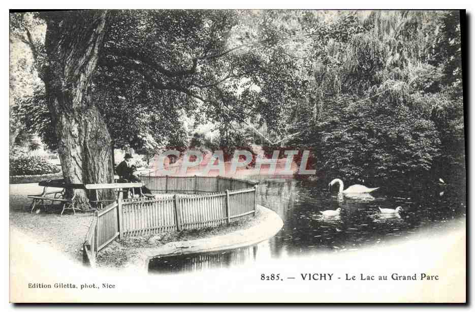 CPA Vichy Le Lac au Grand Parc Cygnes