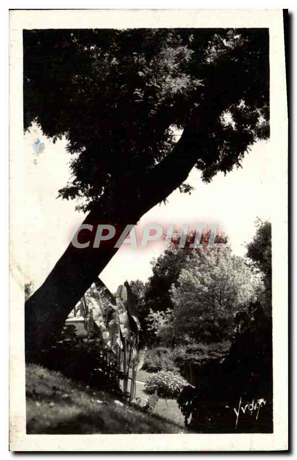 Un joli coin du Parc des Calestins — Vichy (Allier) — éditeur non visible