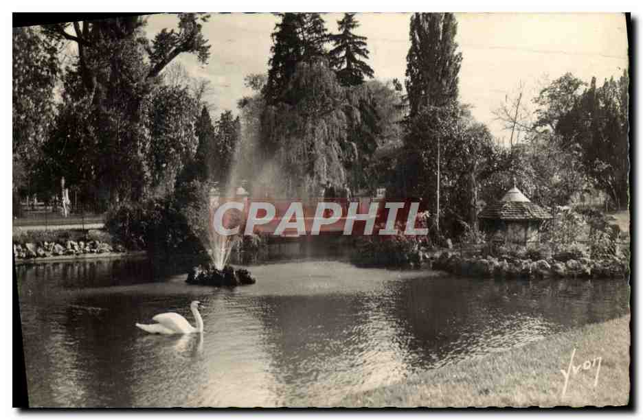 CPM Vichy Le Parc Cygne