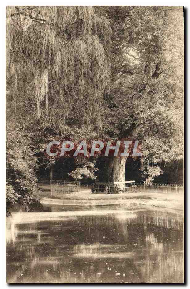 CPA Vichy Un Coin Du Parc