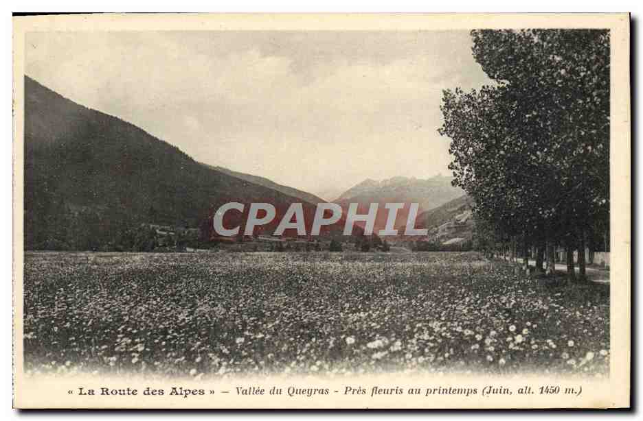 CPA La Route Des Alpes Vallee Du Queyras Pres Fleuris Au Printemps