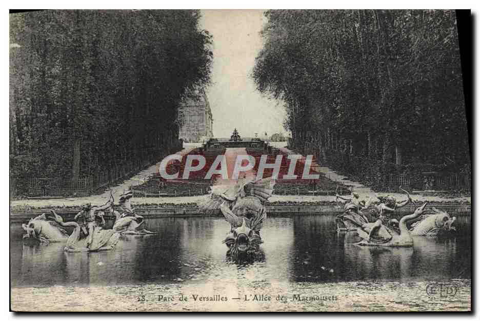 CPA Parc De Versailles L'Allee Des Marmousets