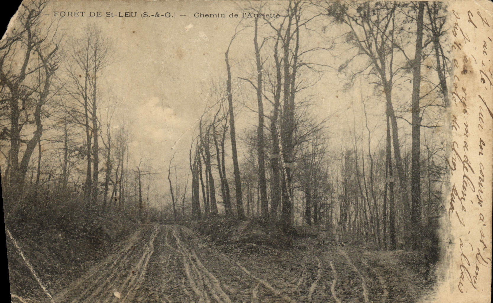 Forêt de St-Leu (S.-&-O.) — Chemin de l'Aurielle — Éditeur non identifié, n° de série non visible