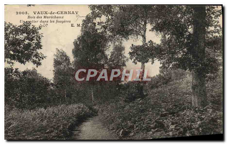 CPA Vaux de Cernay Bois des Marechaux Un sentier dans les fougeres