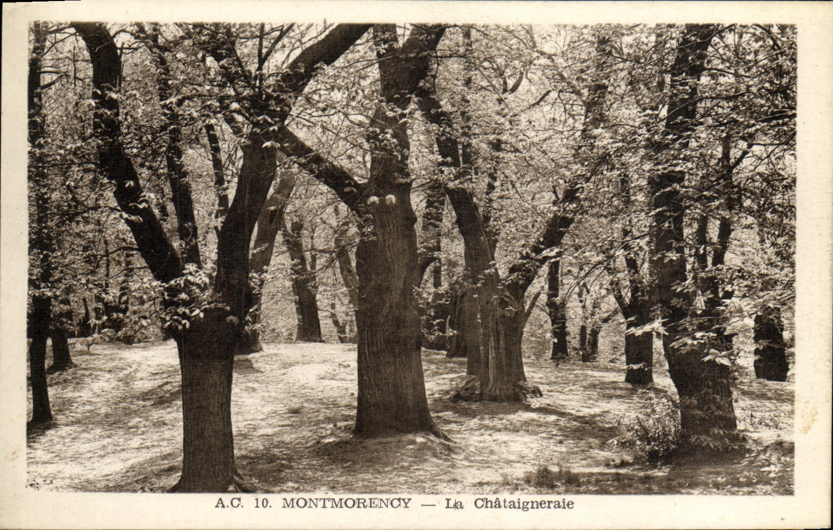 Montmorency — La Châtaigneraie — A.C. 10