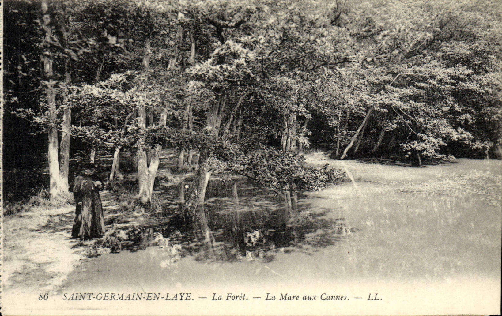 Saint-Germain-en-Laye — La Forêt — La Mare aux Cannes — LL.