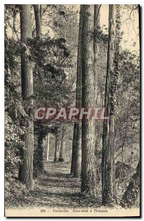 CPA Versailles Sous bois a Trianon 