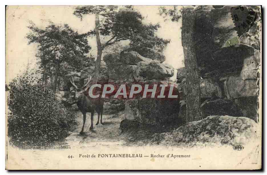 Bosque de FONTAINEBLEAU — Roche d'Apremont — Siron, Fontainebleau