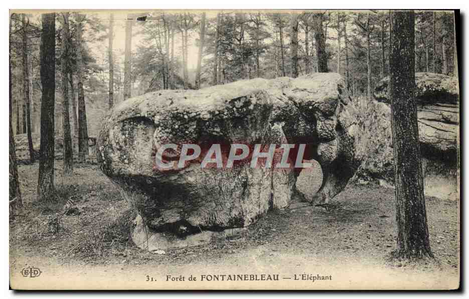 WALD VON FONTAINEBLEAU — DER ELEPHANT - Vorderseite