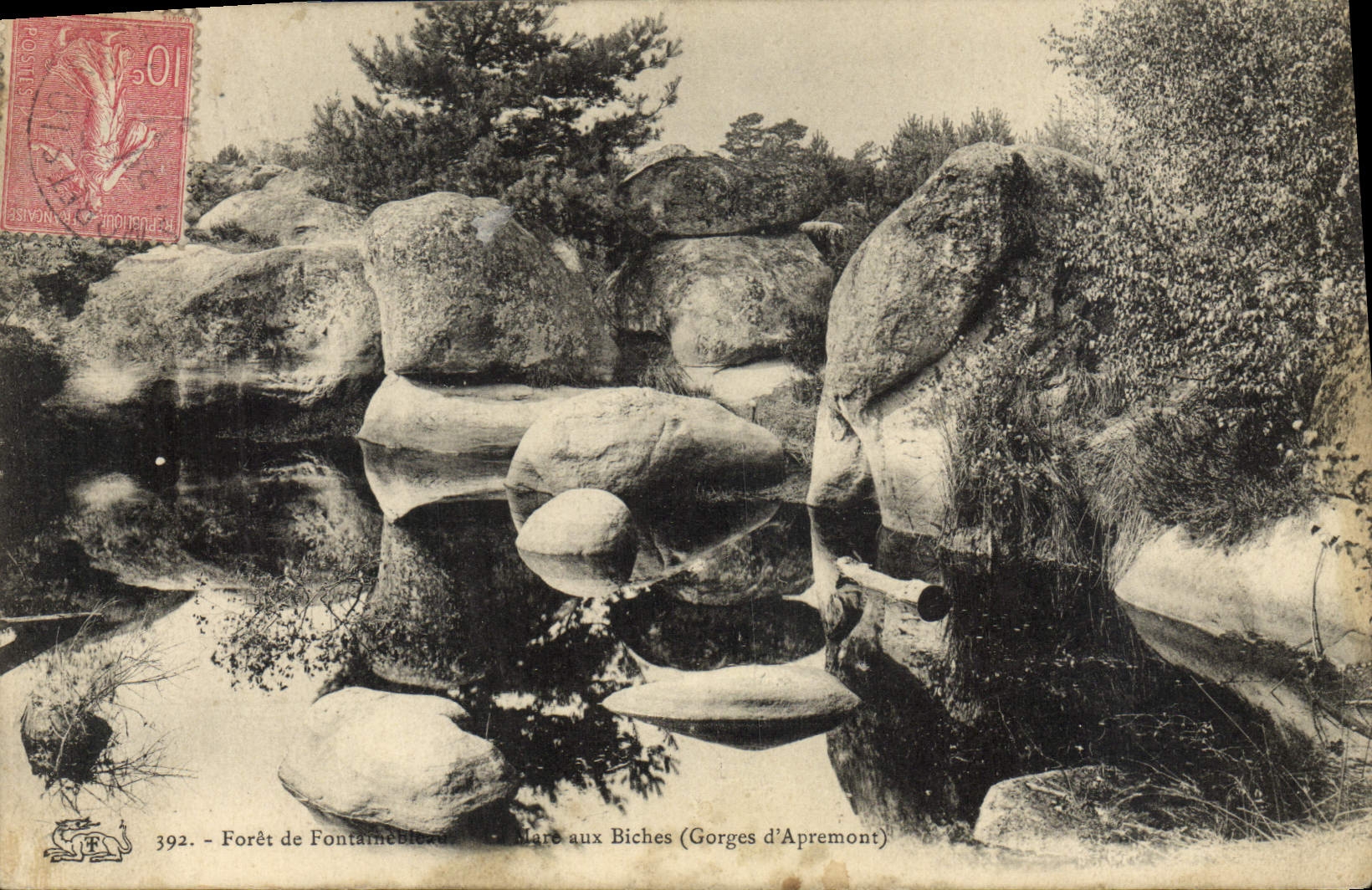 Foresta di Fontainebleau — Clair aux Biches (Gorges d'Apremont) — n°392