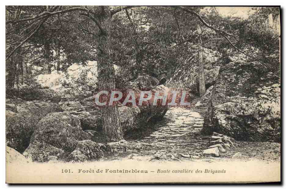 Forêt de Fontainebleau — Route cavalière des Brigands — n°101