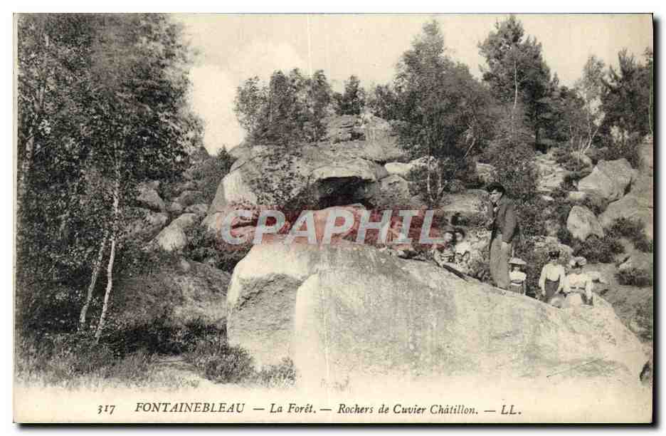 Fontainebleau — Die Wälder — Felsen von Cuvier Châtillon — LL. — Nr. 317