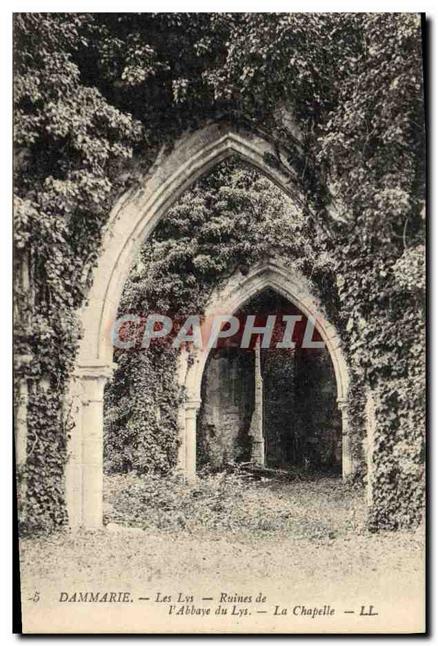 CPA Dammarie Les Lys Ruines de l'Abbaye du Lys La Chapelle