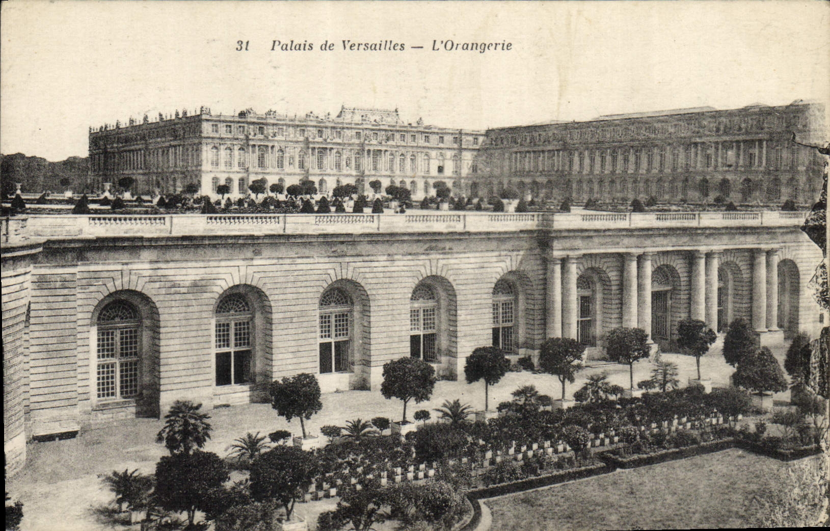 CPA Palais De Versailles L'Orangerie